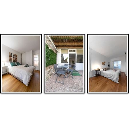 Le Celestin - Appartement 2 Chambres Avec Jardin En Centre Ville Vichy Buitenkant foto